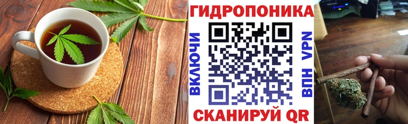 Купить закладки  Гдов  Печенье с ТГК конопля 