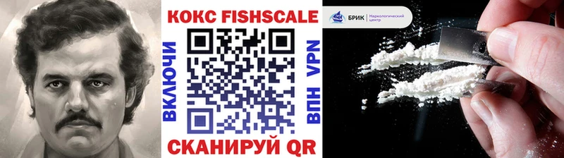 Купить где  Гдов  КОКАИН FishScale 