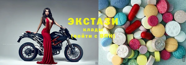 стаф Туринск