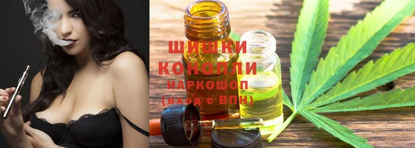 стаф Туринск