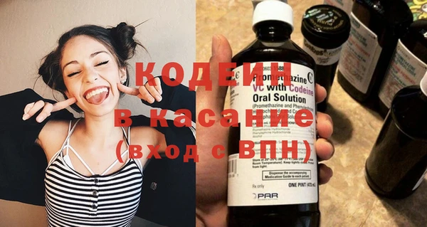 стаф Туринск