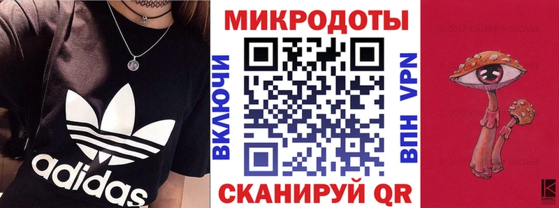 Купить закладки  Гдов  Галлюциногенные грибы Psilocybe 